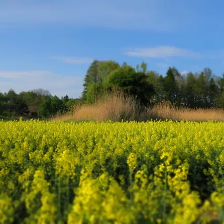 Siostra I Siostra Apartamento *