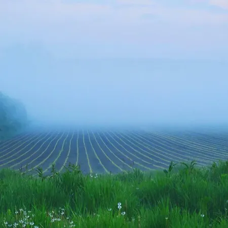 Siostra I Siostra Laziska (Silesia)