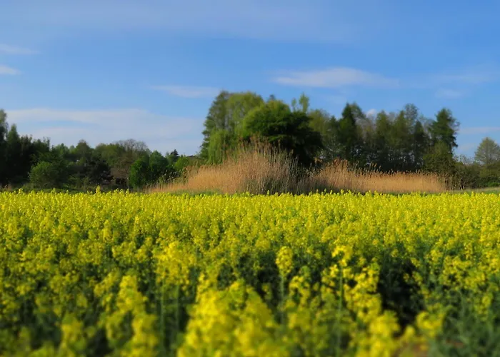 Siostra I Siostra Apartamento *