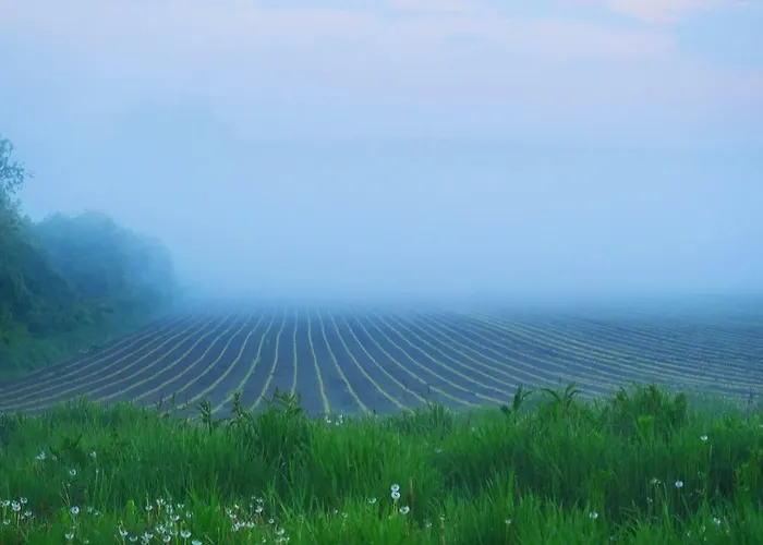 Siostra I Siostra Laziska (Silesia)